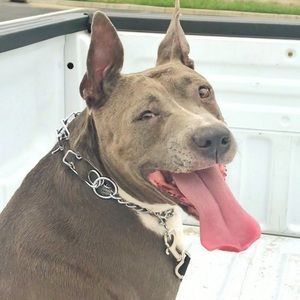 Meet your Posher, Hope